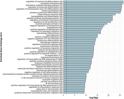 Evolution and Expression of the Immune System of a Facultatively Anadromous Salmonid